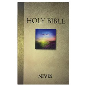 Holy Bible (NIV124050)