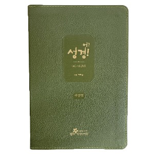 천연가죽 새번역 어 성경 (단본/카키/무색인/무지퍼)