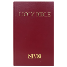 Holy Bible (NIV124048) 레드