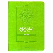 개역한글판 성경 42HB  (옐로우그린/단본/색인/지퍼)