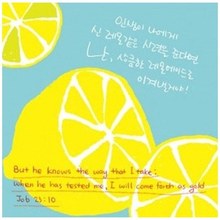 디자인카드07 - 레몬